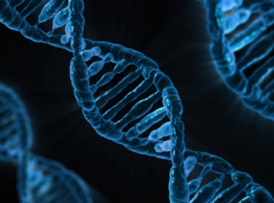La facolt&agrave; di Biologia e farmacia vanta percorsi di eccellenza e all'avanguardia
