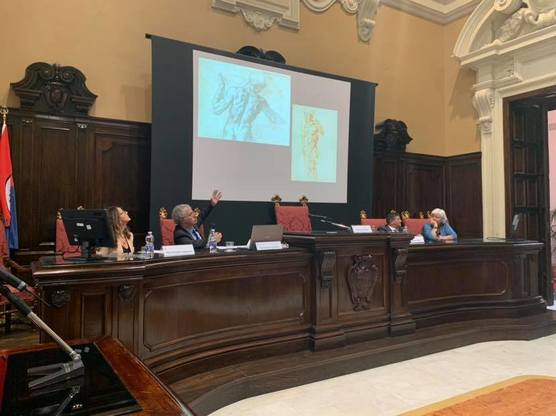 Un'immagine del Seminario del Rettore con Domenico Laurenza