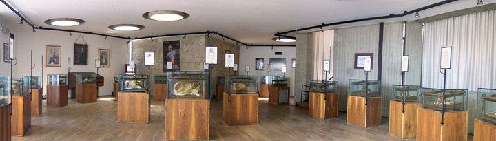 Interno del Museo &ldquo;Raccolta delle Cere Anatomiche di Clemente Susini&rdquo; dell'Universit&agrave; di Cagliari