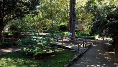 Cagliari. Una veduta dell'Orto botanico