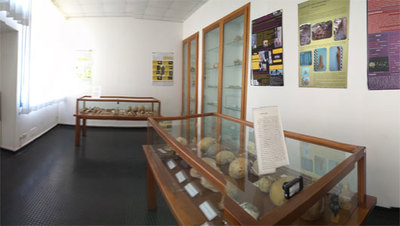Sala B
