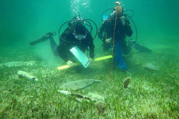 Biologi dell'Area Marina Protetta di Capo Carbonara e dell'Universit&agrave; di Cagliari eseguono rilievi sui fondali interessati alla moria di nacchere di mare nella laguna di Sant'Antioco. Fotografia di Viviana Pasquini/Universit&agrave; di Cagliari