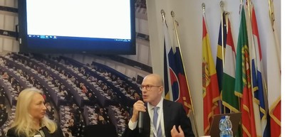 Roma. Una fase dell'intervento del professor Fenu alla presentazione del progetto Picasso