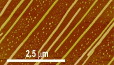AFM