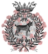 Lo stemma dei Lincei