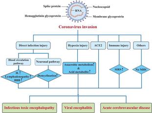 Consapevolezza e gestione accurata delle complicanze neurologiche decisive per i pazienti affetti da Coronavirus