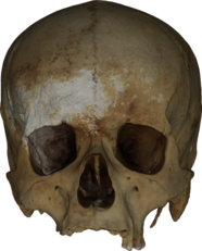 MSAE 59