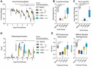 La ricerca vola in mezzo mondo. Ad esempio in Usa, negli atenei Emory, Vanderbilt e North Carolina