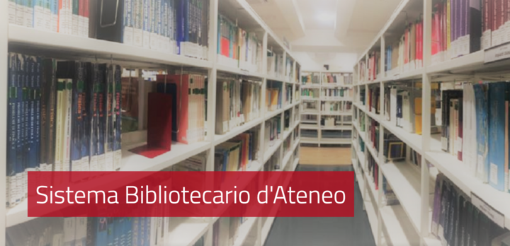 La bella immagine che compare nella sezione del nostro sito dedicata al Sistema Bibliotecario di Ateneo