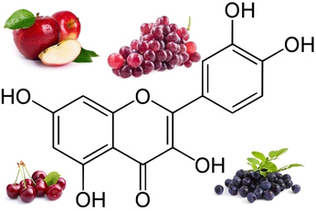 LA MOLECOLA. Agendo sulla proteina VP24 la Quercetina &egrave; in grado di ripristinare la risposta immunitaria delle cellule umane