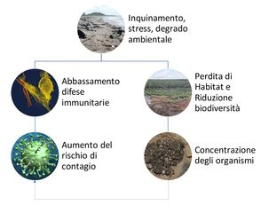 Ecosistemi, modifica della gestione