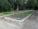 I primi germogli