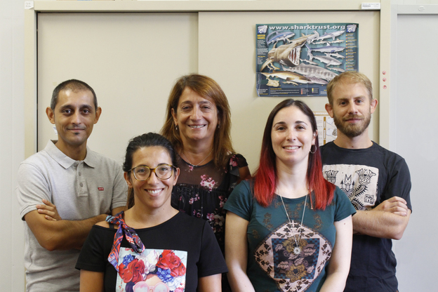 Il gruppo di ricerca del Disva. Da sinistra, Antonello Mulas, Cristina Porcu, Maria Cristina Follesa, Martina Francesca Marongiu, Andrea Bellodi. Fa parte del team anche Paola Pesci