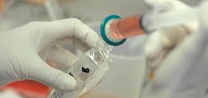 Notte dei ricercatori, icona della scienza che avvicina specialisti e societ&agrave; civile