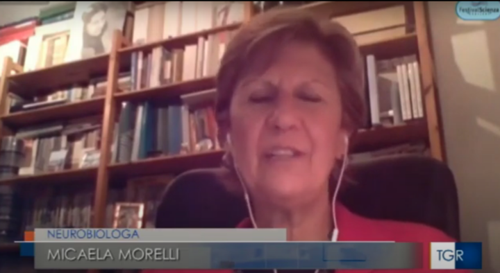 Servizio di Maria Valeria Vendemmia nell'edizione del TGR RAI Sardegna delle 14 del 9 novembre 2020 introdotto in studio da Paolo Mastino