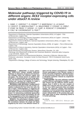 L'articolo su "Molecular pathways triggered by Covid-19"