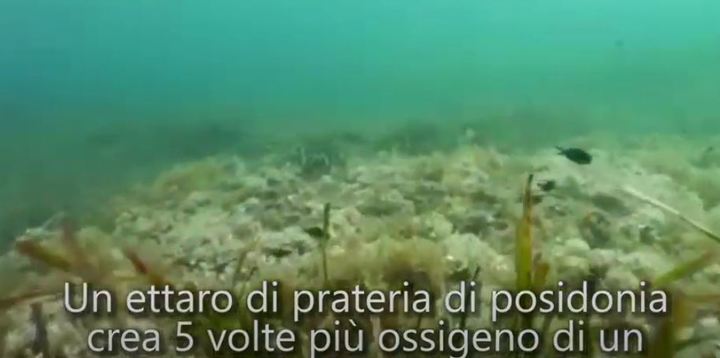 UNICA PER LO SVILUPPO SOSTENIBILE VS019