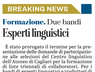 Il richiamo su L'Unione Sarda del 16 gennaio 2021 a pagina 14