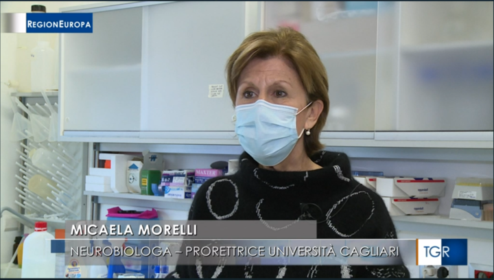 MORELLI 1.png