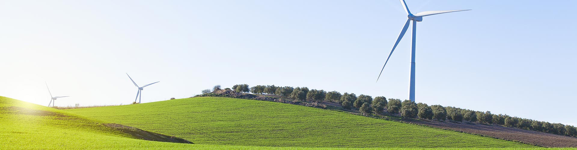 Ingegneria per l'Ambiente e il Territorio