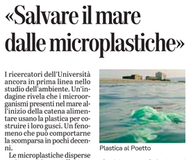 Il servizio su L'Unione Sarda del 17 marzo 2021 a pagina 21