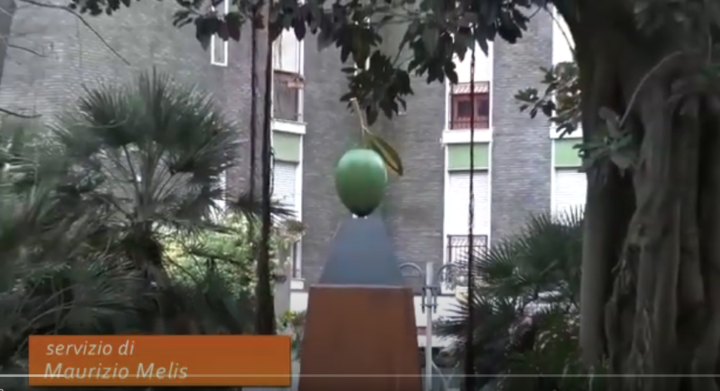 TG di TCS su GIUSEPPE CARTA ALL'ORTO BOTANICO - UniCa