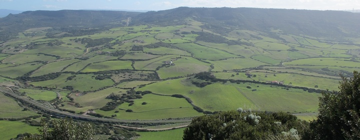 Terre civiche. L'iimagine &egrave; tratta dall'archivio di UniCa (foto Copagri Sardegna)