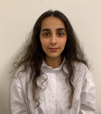 Soheila Amiri, Politecnico di Torino