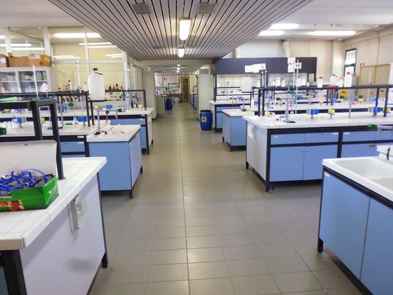 Laboratorio