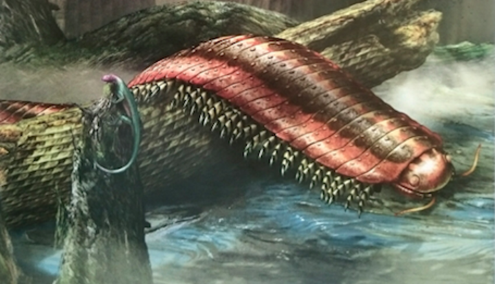 Una ricostruzione dell'Arthropleura armata sul National Geographic