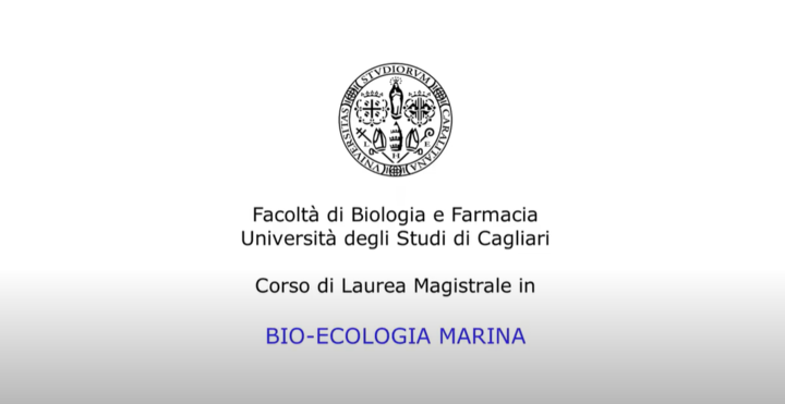 Bio-ecologia marina.PNG