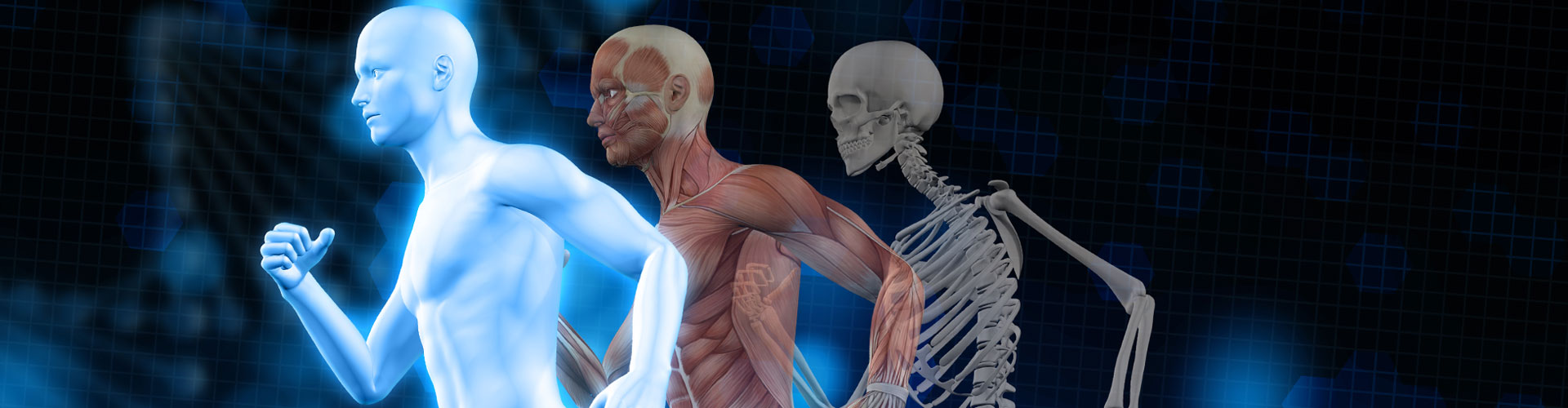 Corso di Laurea in Ingegneria Biomedica