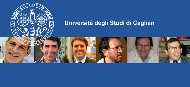Le sei facolt&agrave; universitarie di Cagliari coordinano i 15 dipartimenti a cui fanno capo 37 corsi di laurea triennali, 34 magistrali e 6 a ciclo unico, 30 scuole di specializzazione, 15 corsi di dottorato e 12 master attivi