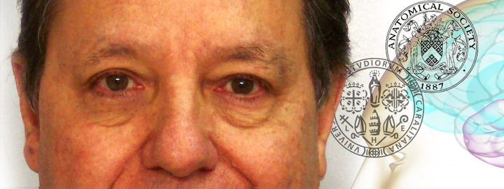 Alessandro Riva, Fellow per gli anatomisti della Regina