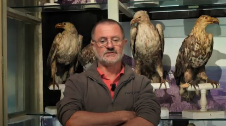 Museo di Zoologia - UniCa