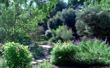 Uno scorcio dell'Orto botanico di Cagliari