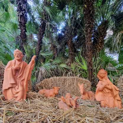 Anche quest'anno l'Orto Botanico di UniCa ospita una rappresentazione della Nativit&agrave;