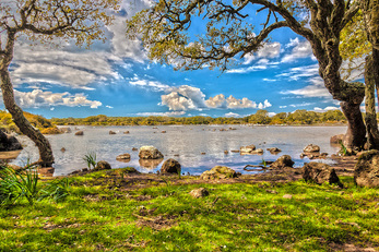 Una splendida immagine di un'area incontaminata: la Giara di Gesturi (foto Giuliano-Saiu)