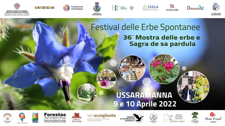 La locandina del Festival