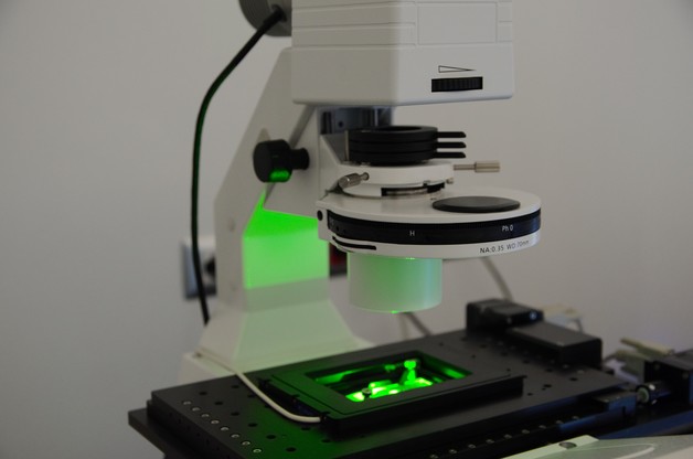 Optical Microscopy