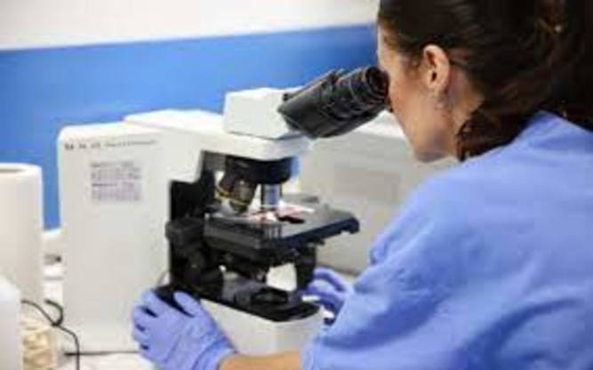 Professionalit&agrave; esperte, innovazione e tecnologie avanzate per una ricerca universitaria di qualit&agrave;