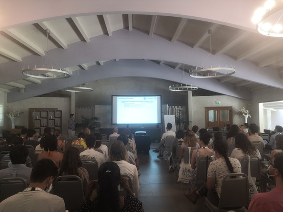 Un momento della 1st Supermolecular Chemistry Summer School