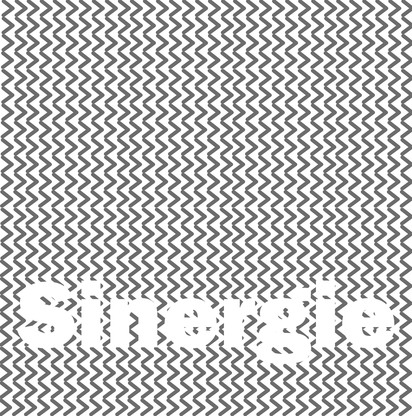 Sinergie, riflessioni e sguardo su presente e futuro