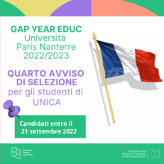 Locandina gap year