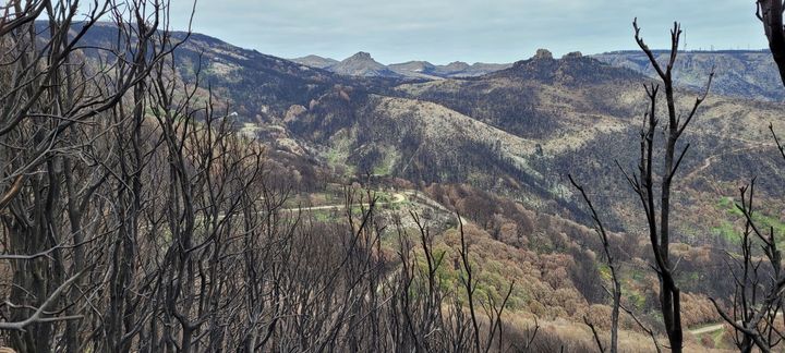 Montiferru, dramma, devastazione e cenere
