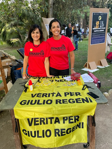 Il punto giallo