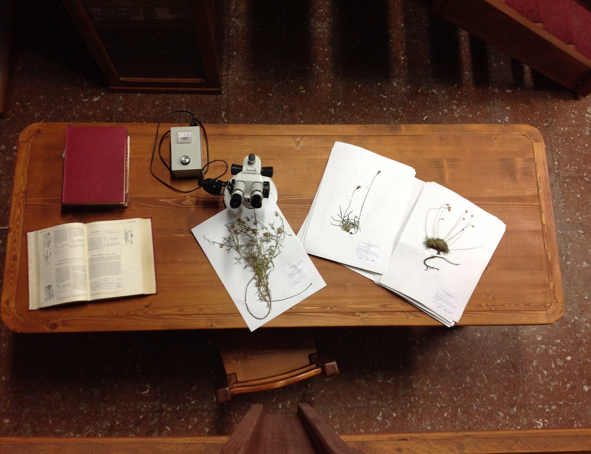 Una foto del museo Herbarium