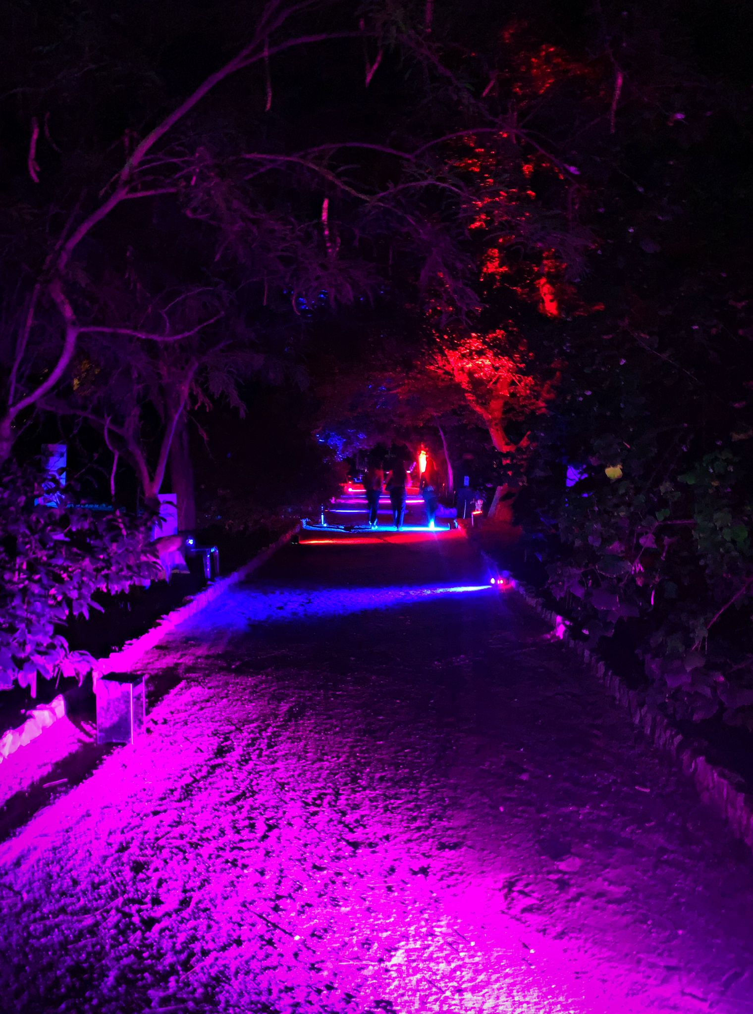 L'Orto Botanico diventa lo scenario per l'Adventure night