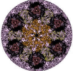 Un'altra immagine del batterio dove sono evidenziati i risultati della scoperta