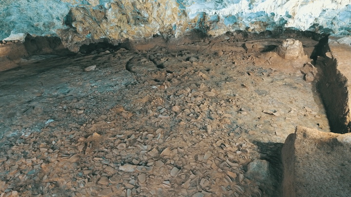 Nuxis